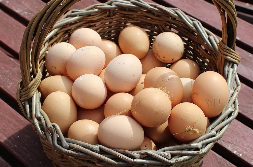 تفسير حلم شراء البيض من الميت في المنام